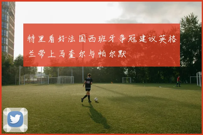 特里看好法国西班牙争冠建议英格兰带上马奎尔与帕尔默