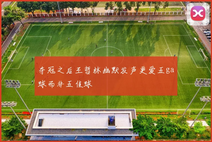 夺冠之后王哲林幽默发声更爱五ga球而非五佳球