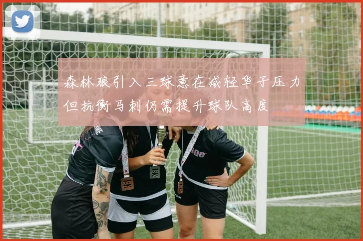 森林狼引入三球意在减轻华子压力但抗衡马刺仍需提升球队高度