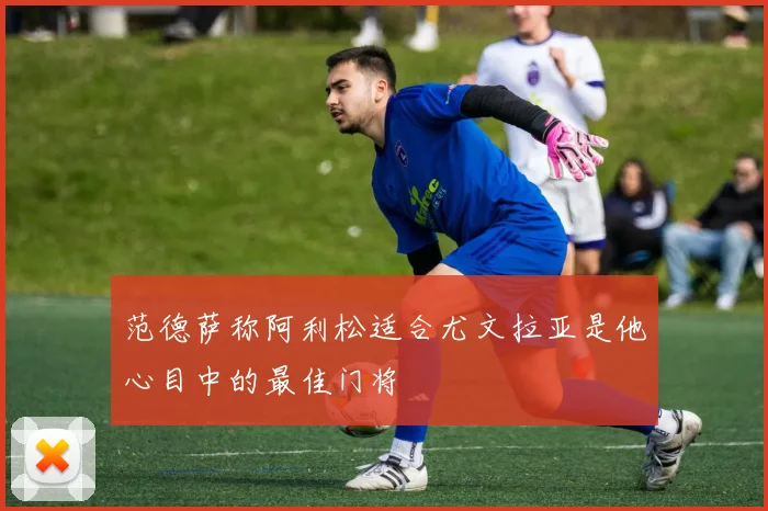 范德萨称阿利松适合尤文拉亚是他心目中的最佳门将