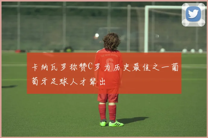 卡纳瓦罗称赞C罗为历史最佳之一葡萄牙足球人才辈出